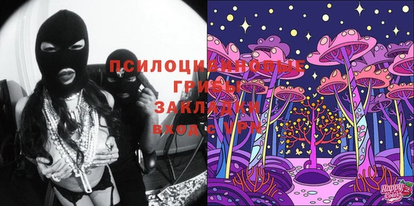 ГАЛЛЮЦИНОГЕННЫЕ ГРИБЫ Белоозёрский