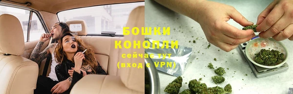 кокс Белокуриха