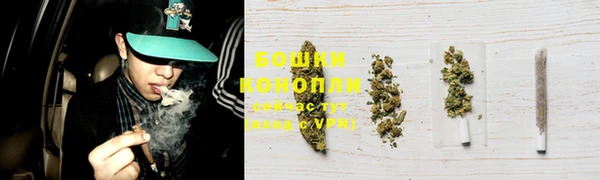 PSILOCYBIN Богородск