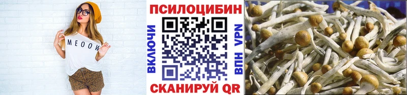 Псилоцибиновые грибы MAGIC MUSHROOMS  Мышкин 